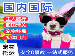 义乌航空邮寄国际宠物托运 【国